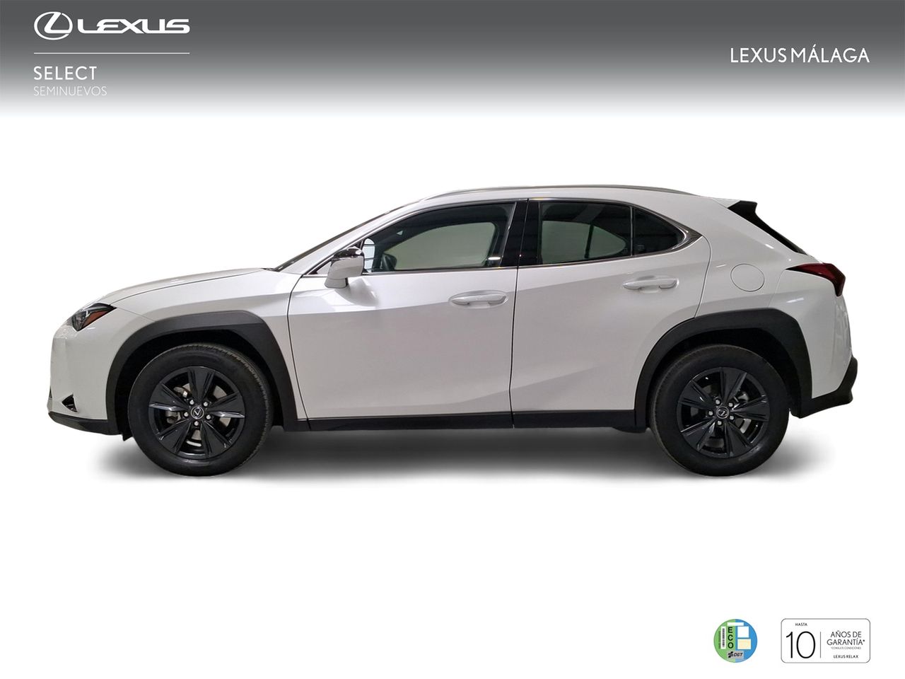 Lexus UX 2.0 300h UX Plus  - Foto 4