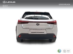 Lexus UX 2.0 300h UX Plus  - Foto 5