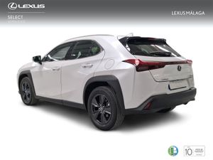 Lexus UX 2.0 300h UX Plus  - Foto 3