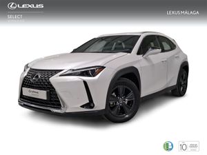 Lexus UX 2.0 300h UX Plus  - Foto 2