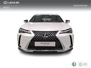 Lexus UX 2.0 300h UX Plus  - Foto 6