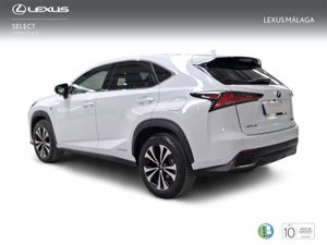 Lexus NX 2.5 300h F Sport Panorámico 4WD  - Foto 3