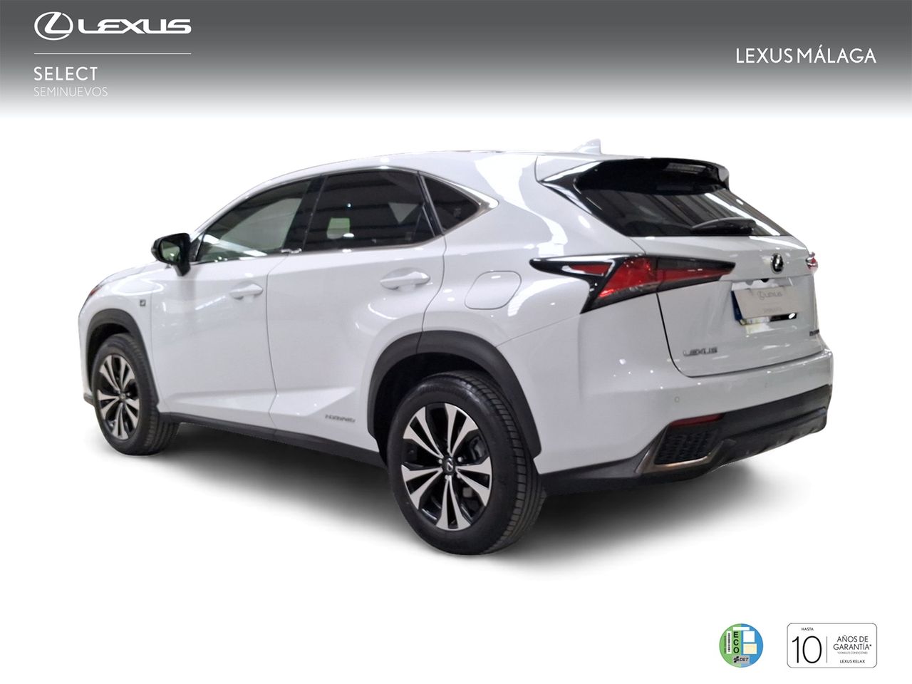 Lexus NX 2.5 300h F Sport Panorámico 4WD  - Foto 3