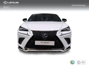 Lexus NX 2.5 300h F Sport Panorámico 4WD  - Foto 6