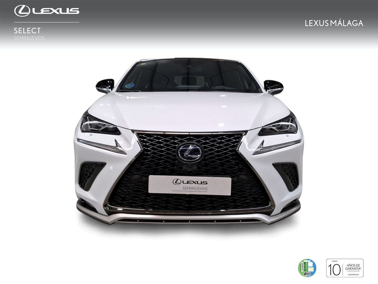 Lexus NX 2.5 300h F Sport Panorámico 4WD  - Foto 6