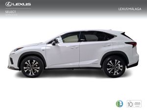 Lexus NX 2.5 300h F Sport Panorámico 4WD  - Foto 4