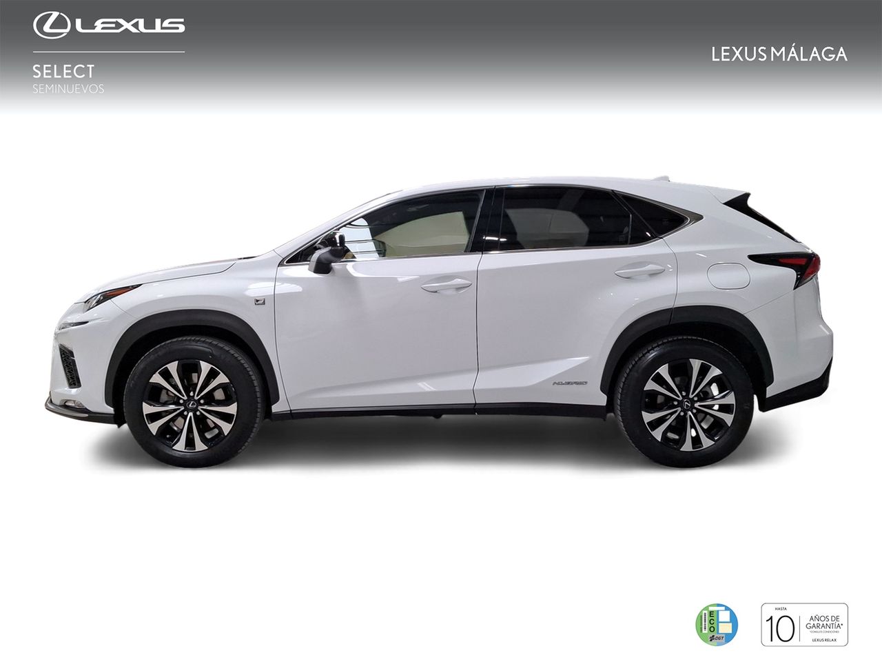 Lexus NX 2.5 300h F Sport Panorámico 4WD  - Foto 4