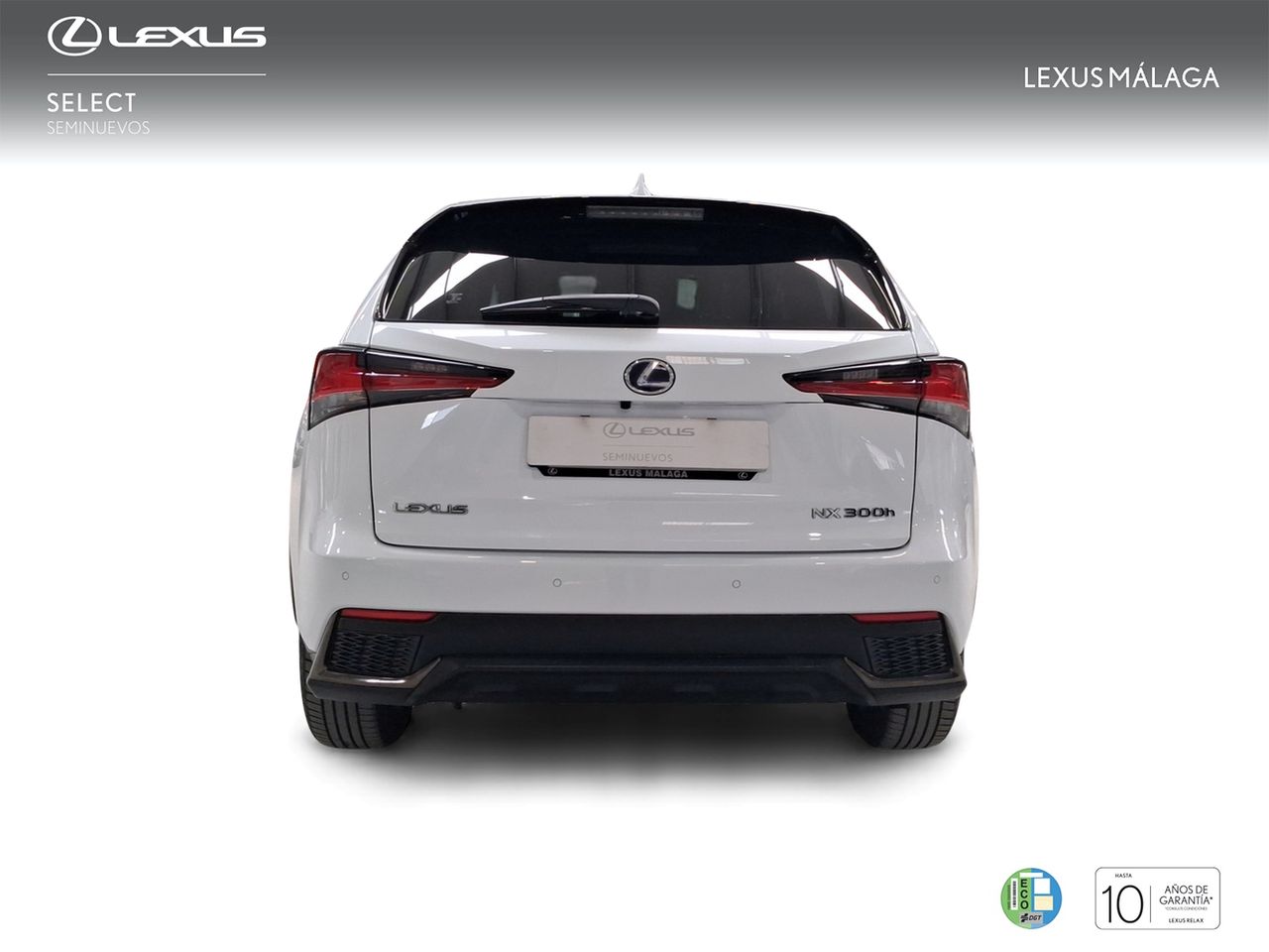 Lexus NX 2.5 300h F Sport Panorámico 4WD  - Foto 5