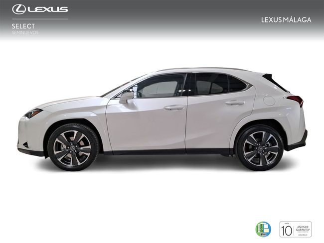 Foto coche