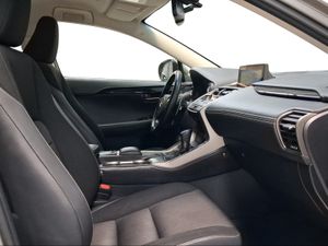 Lexus NX 2.5 300h Business Navigation 2WD  - Foto 7