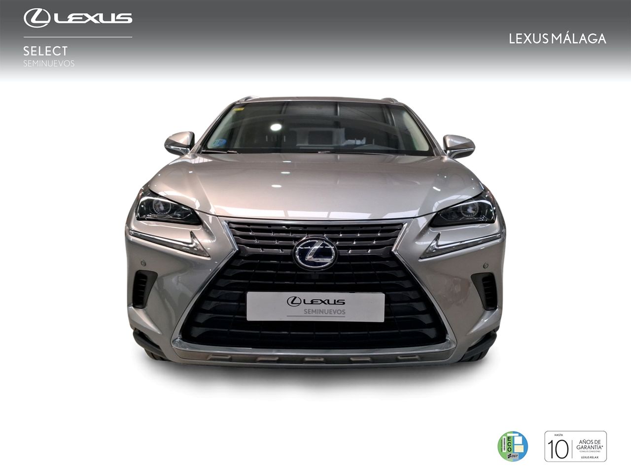 Lexus NX 2.5 300h Business Navigation 2WD  - Foto 6