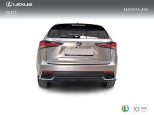 Lexus NX 2.5 300h Business Navigation 2WD  - Foto 5
