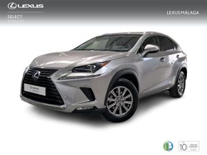 Lexus NX 2.5 300h Business Navigation 2WD  - Foto 2