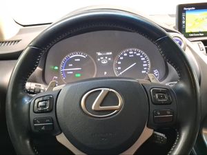 Lexus NX 2.5 300h Business Navigation 2WD  - Foto 16