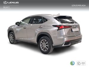 Lexus NX 2.5 300h Business Navigation 2WD  - Foto 3