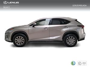Lexus NX 2.5 300h Business Navigation 2WD  - Foto 4