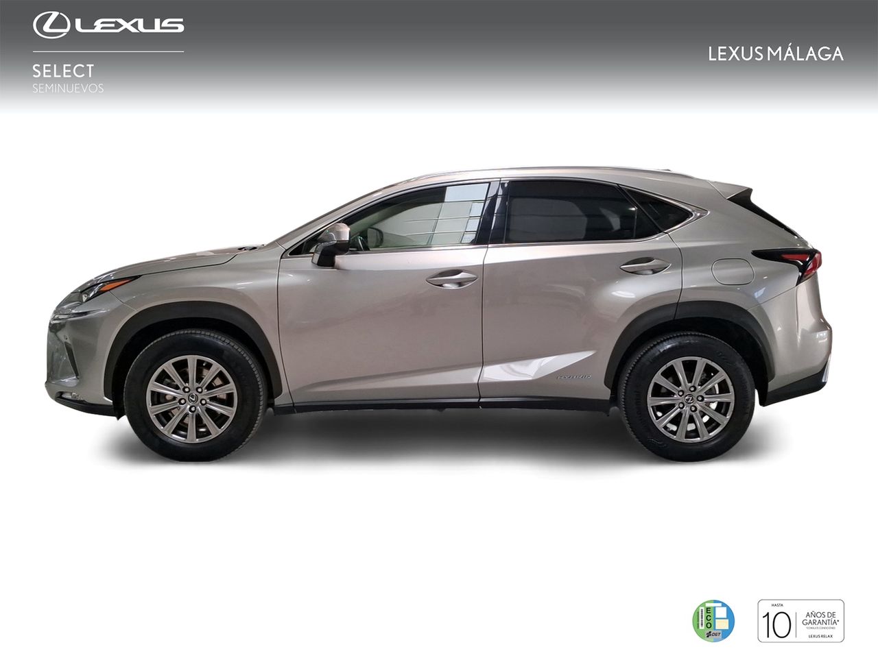 Lexus NX 2.5 300h Business Navigation 2WD  - Foto 4