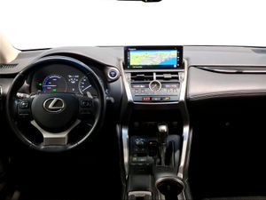 Lexus NX 2.5 300h Business Navigation 2WD  - Foto 9