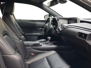 Lexus UX 2.0 250h Business  - Foto 7