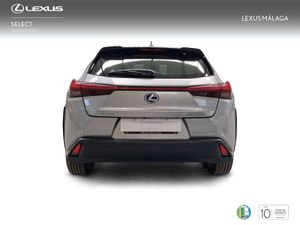 Lexus UX 2.0 250h Business  - Foto 5