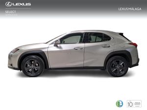 Lexus UX 2.0 250h Business  - Foto 4