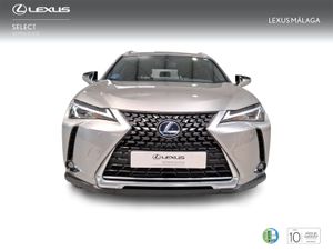 Lexus UX 2.0 250h Business  - Foto 6