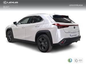 Lexus UX 2.0 250h Premium  - Foto 3