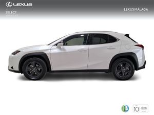 Lexus UX 2.0 250h Premium  - Foto 4