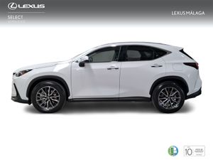 Lexus NX 450h+ Premium+ 4WD  - Foto 4