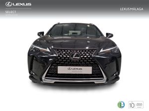 Lexus UX 2.0 250h Business City  - Foto 6