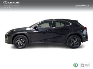 Lexus UX 2.0 250h Business City  - Foto 4