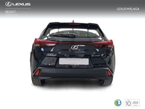 Lexus UX 2.0 250h Business City  - Foto 5