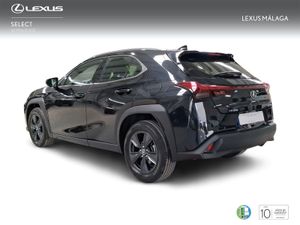 Lexus UX 2.0 250h Business City  - Foto 3