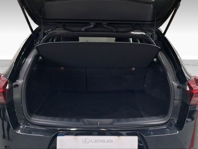 Foto coche