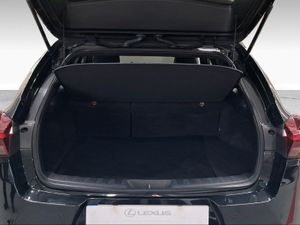 Lexus UX 2.0 250h Business City  - Foto 10