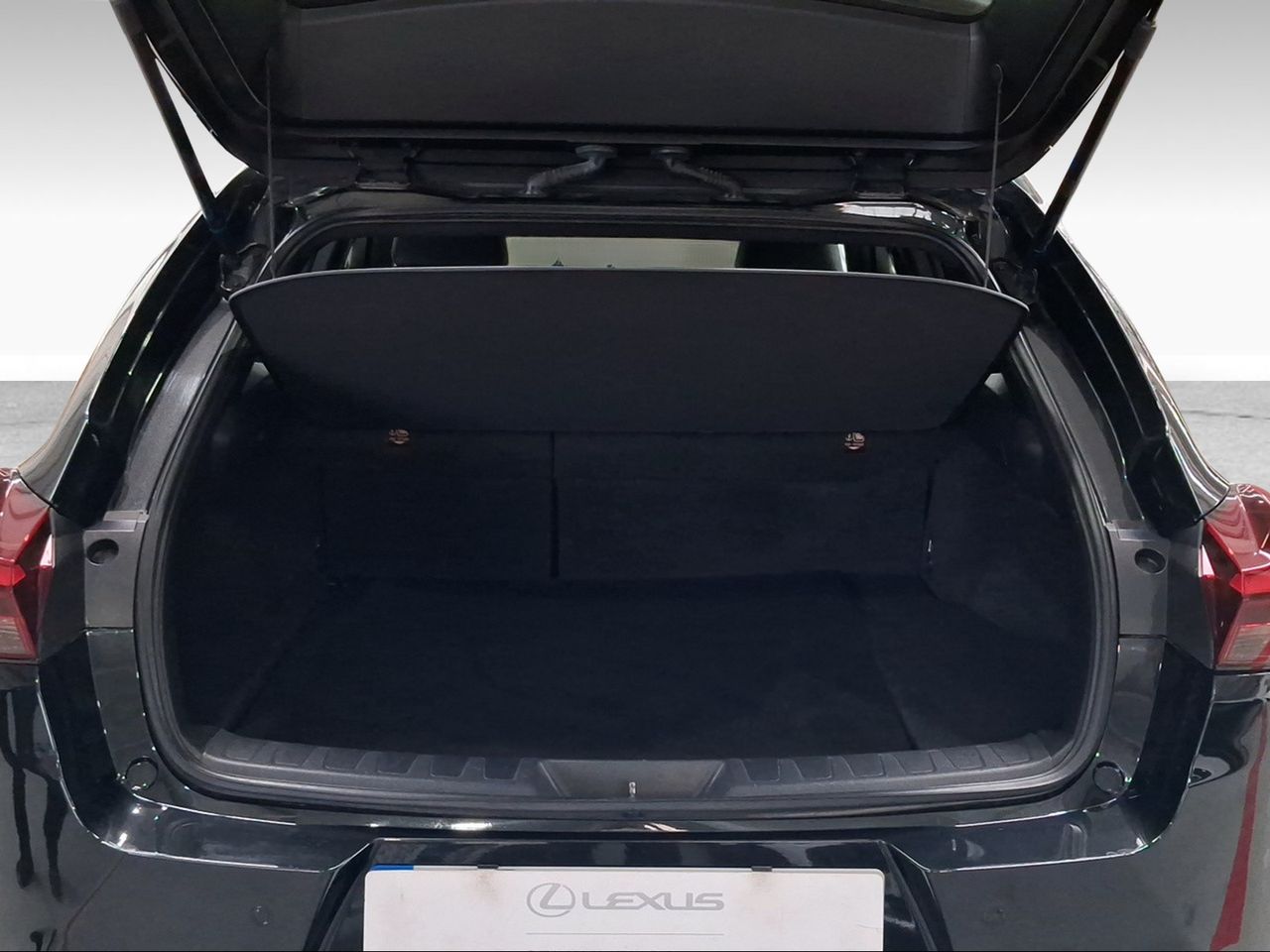Lexus UX 2.0 250h Business City  - Foto 10