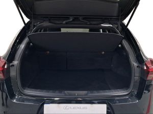 Lexus UX 2.0 250h Business City  - Foto 10