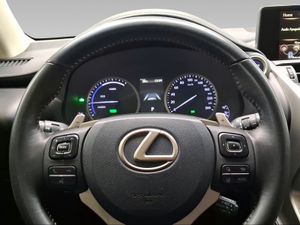 Lexus NX 2.5 300h Business Navigation 2WD  - Foto 15