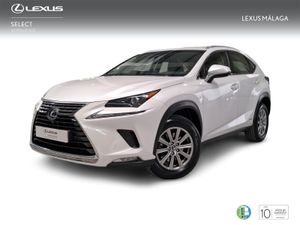 Lexus NX 2.5 300h Business Navigation 2WD  - Foto 2