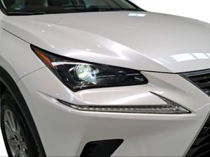 Lexus NX 2.5 300h Business Navigation 2WD  - Foto 19