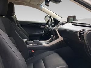 Lexus NX 2.5 300h Business Navigation 2WD  - Foto 7