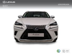 Lexus NX 2.5 300h Business Navigation 2WD  - Foto 6