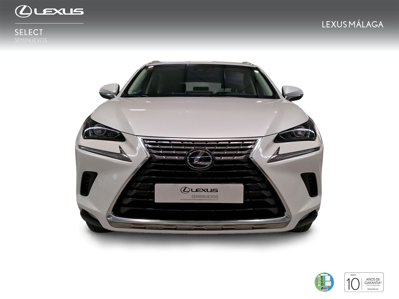 Lexus NX 2.5 300h Business Navigation 2WD  - Foto 6