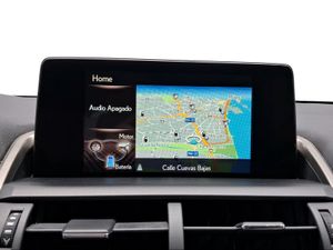 Lexus NX 2.5 300h Business Navigation 2WD  - Foto 13