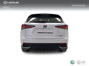 Lexus NX 2.5 300h Business Navigation 2WD  - Foto 5