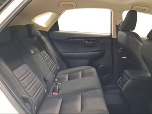 Lexus NX 2.5 300h Business Navigation 2WD  - Foto 8