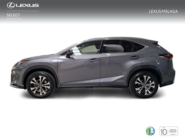 Foto coche