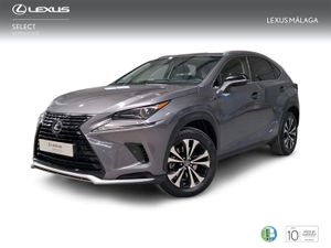 Lexus NX 2.5 300h Premium 2WD  - Foto 2