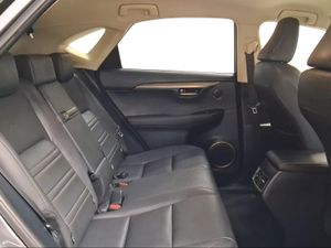 Lexus NX 2.5 300h Premium 2WD  - Foto 8