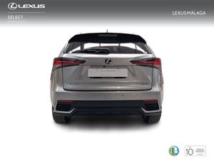 Lexus NX 2.5 300h Executive Kick Power+Navig  - Foto 5